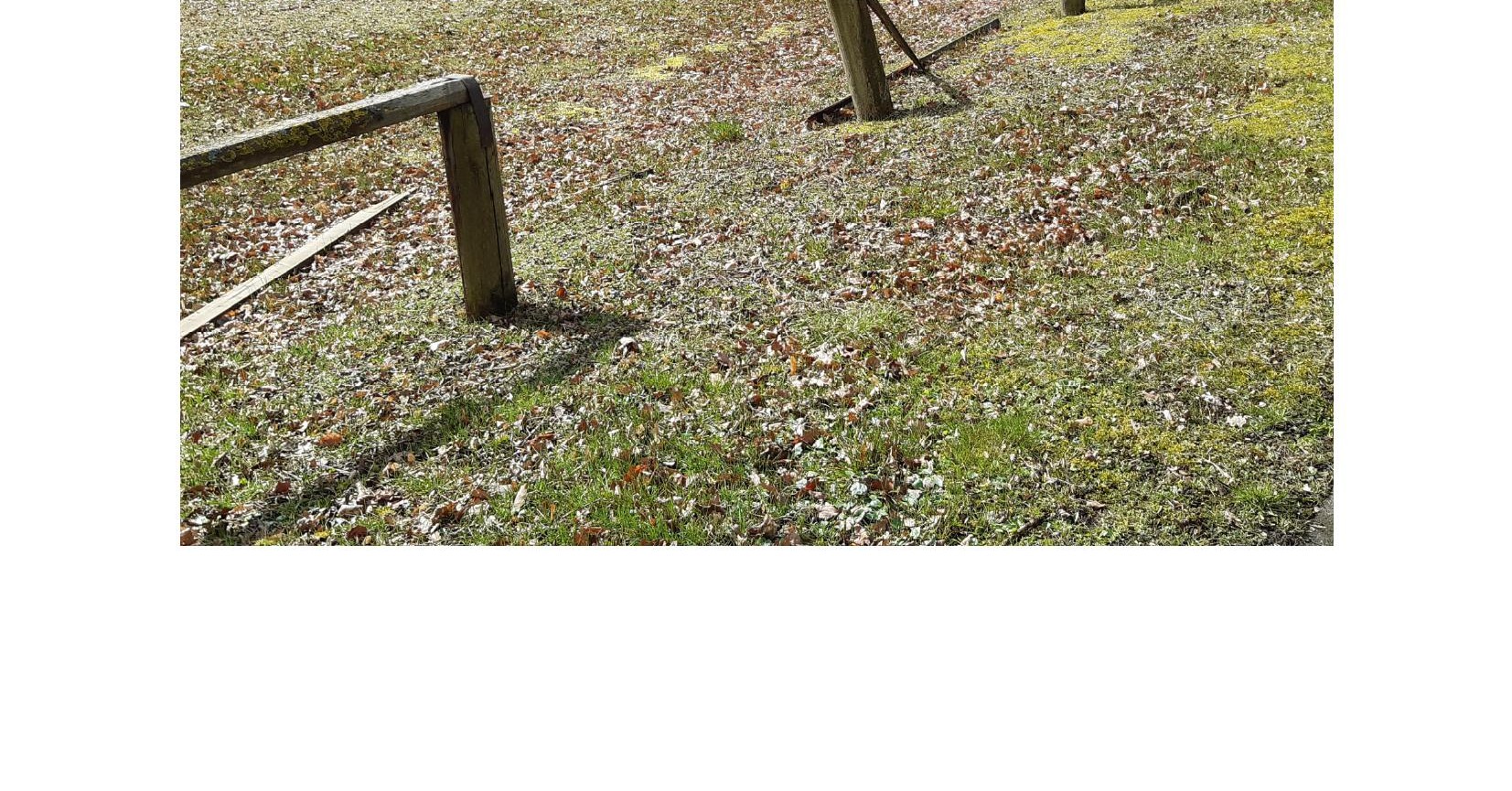 Ehemaliger Reitplatz in Adorf nach Abbau der Umrandung